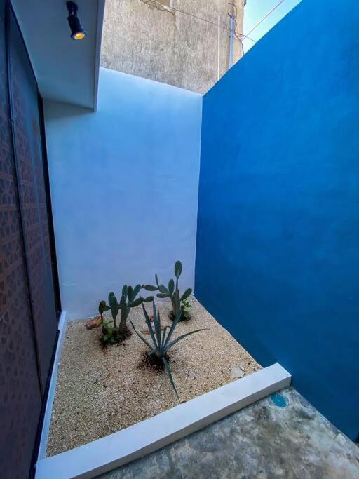 Modern Casa With Pool 7 Mins From Centro 5Min La Plancha Park Villa Mérida Dış mekan fotoğraf